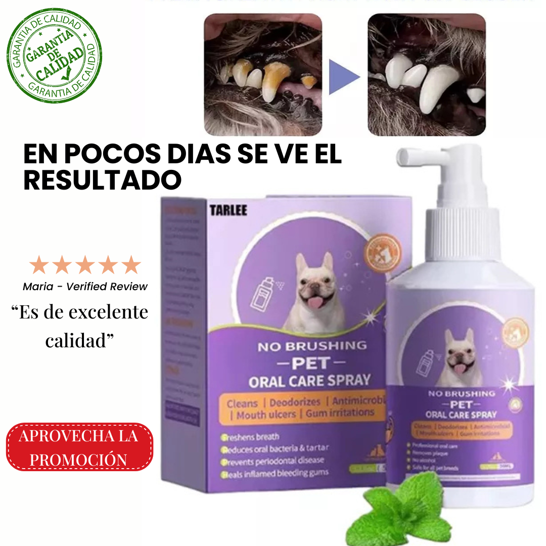 LIMPIA DIENTES CANINO Y FELINO