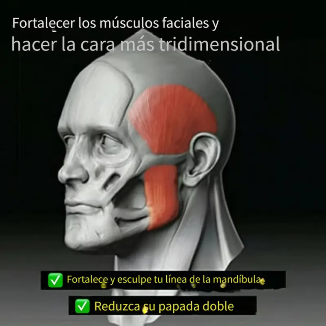 ESTIMULADOR DE MANDIBULA (X 2)