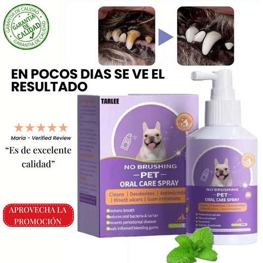 LIMPIA DIENTES CANINO Y FELINO