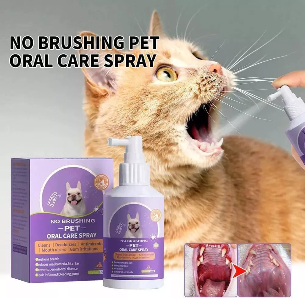 LIMPIA DIENTES CANINO Y FELINO