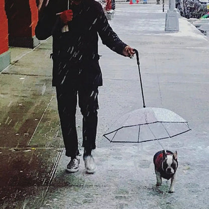 SOMBRILLA PARA MASCOTAS (SOL Y LLUVIA)