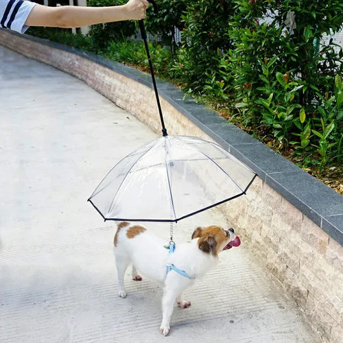 SOMBRILLA PARA MASCOTAS (SOL Y LLUVIA)