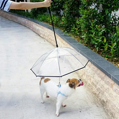 SOMBRILLA PARA MASCOTAS (SOL Y LLUVIA)