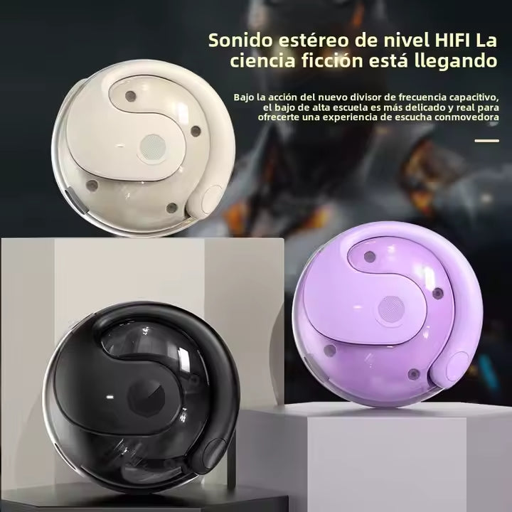 AUDIFONOS TRADUCTOR
