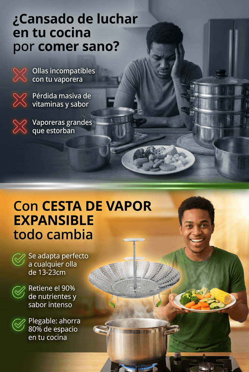 CESTA DE VAPOR EN ACERO INOXIDABLE
