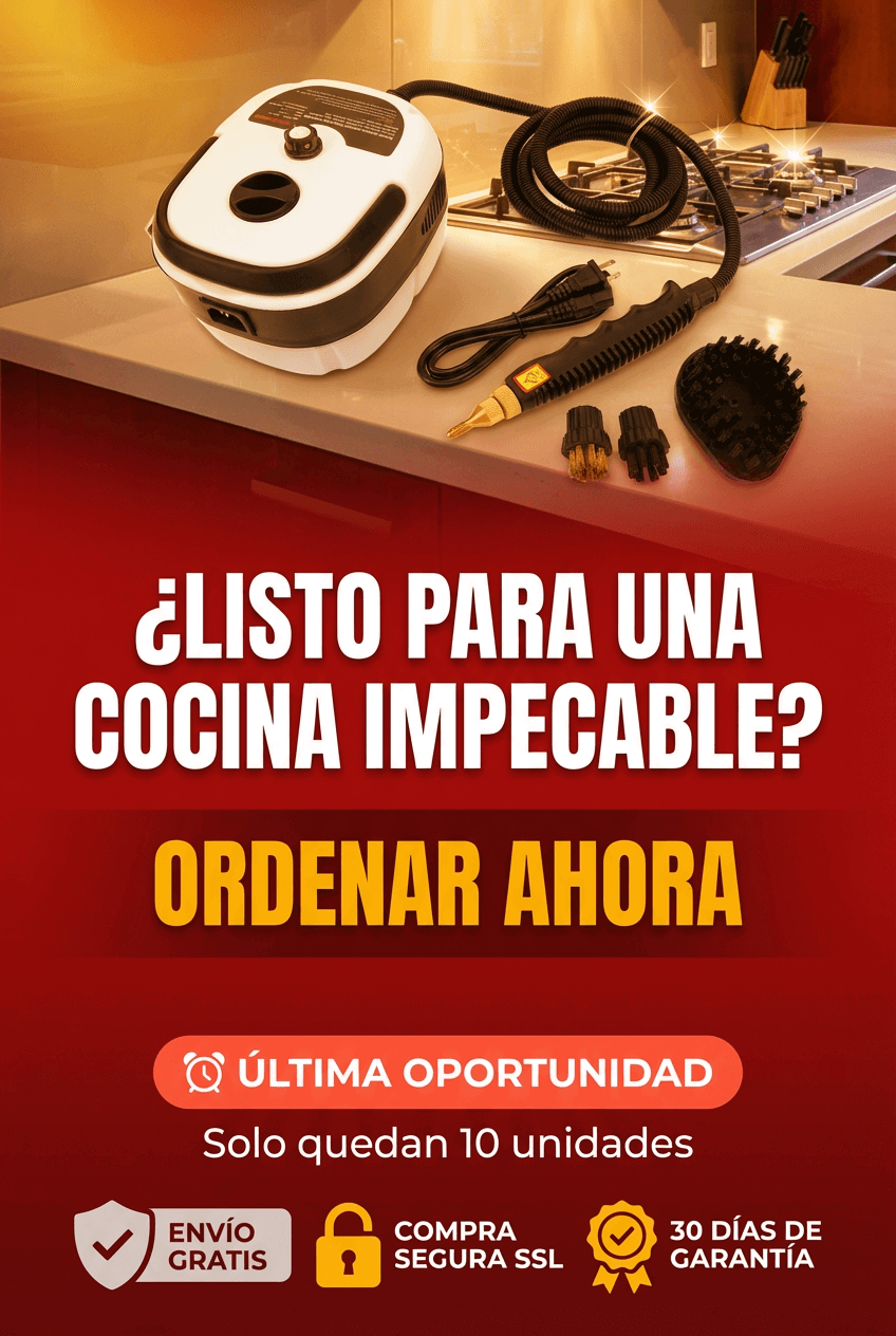 LIMPIADOR A VAPOR