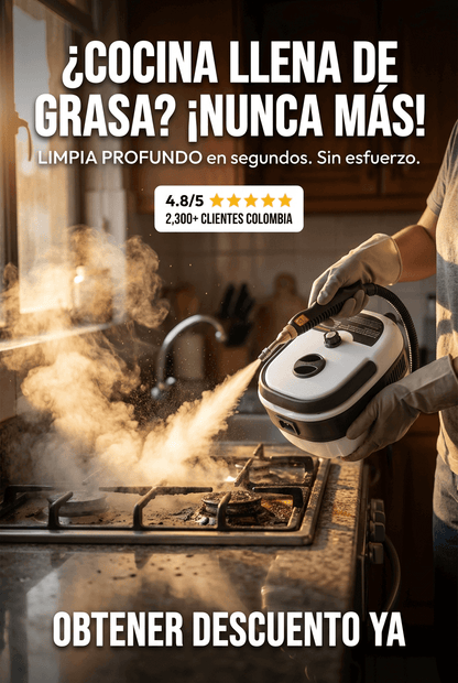 LIMPIADOR A VAPOR
